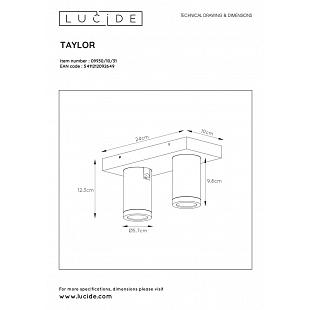 Interiérové svietidlo LUCIDE TAYLOR White 09930/10/31